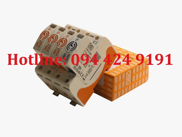 1. Obo V20-3-NPE-280.JPG
