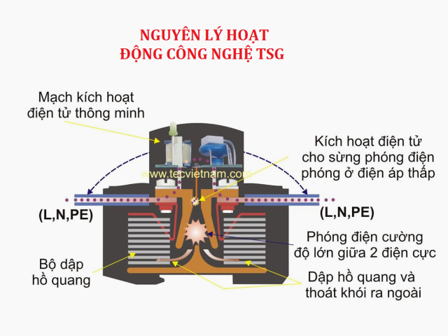 Cong Nghe TSG.png